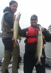 www.fishguide.se www.fiskeguide.pro www.fiskeguidning.pro