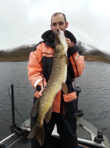 Fin gädda på en fiskeguidning med fiskeguide Mikael Puhakka www.fishguide.se 