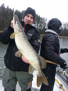 Gäddfiske från Quintrexbåten! Fiskeguidning med fiskeguide Mikael Puhakka www.fishguide.se