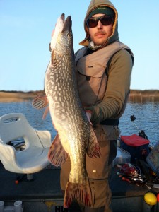 Gäddfiske i Silver Eagle båten! Fiskeguidning med fiskeguide Mikael Puhakka www.fishguide.se