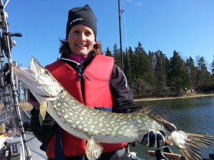 Gäddfiske i Silver Eagle båten! Fiskeguidning med fiskeguide Mikael Puhakka www.fishguide.se
