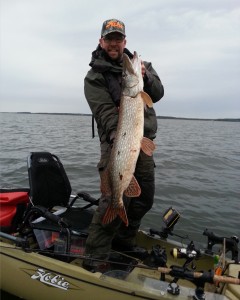 Gäddfiske i Hobie fiskekajaken! Fiskeguidning med fiskeguide Mikael Puhakka www.fishguide.se