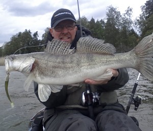 Fiskeguide Mikael Puhakka med gös från Hobie Pro Angler 12 fiskekajaken! Hemsida och fiskeguidning: www.fishguide.se