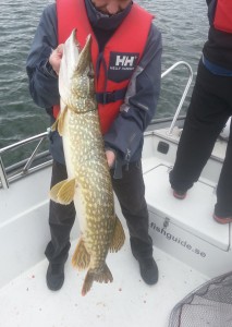 Fiskeguidning med fiskeguide Mikael Puhakka i Silver Eagle båten. Hemsida: www.fishguide.se