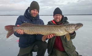 Grov gädda! Ismete & fiskeguidning med fiskeguide Mikael Puhakka www.fishguide.se