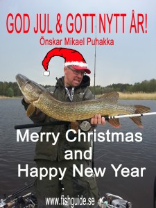 GOD JUL B