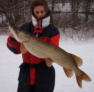snygg icepike