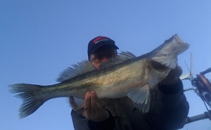 fiskeguide fiskeguidning www.fishguide.se
