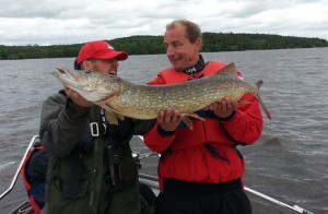 Gäddorna var i stöten