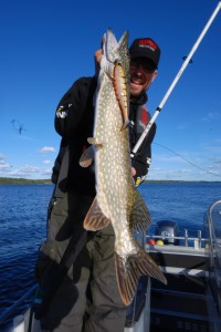 Micke med en av många Storm R.I.P Shad gäddor..