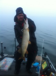 En av alla gäddorna från Rugen! www.fishguide.se