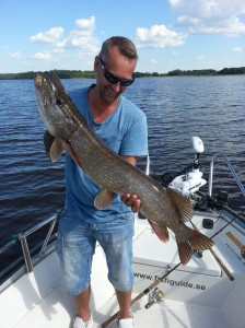 Roger med gammelgädda