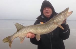 Pelle med en av alla gäddorna! www.fishguide.se