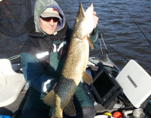 Gäddfiske från Quintrexbåten med Felix! Fiskeguidning med fiskeguide Mikael Puhakka www.fishguide.se