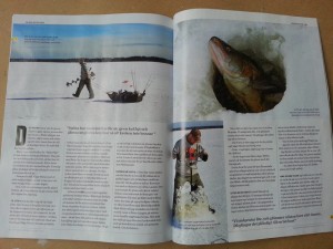 Artikel om Ismete efter gös fiskeguidning fiskeguide www.fishguide.se