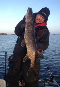 Även fiskeguiden fick gädda! www.fishguide.se fiskeguide / fiskeguidning